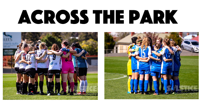 across the park zebs v oly.jpg